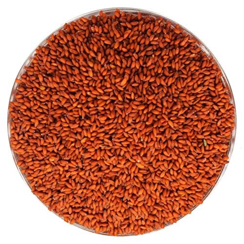 Asaliya Seeds (Halim Seeds)